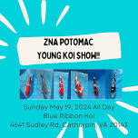 2024 ZNA Potomac Koi Club Young Koi Show