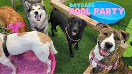 Daycare Pool Party