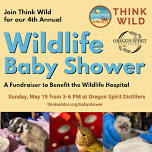 Wildlife Baby Shower