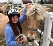 Fun with Horses for ages 11-14