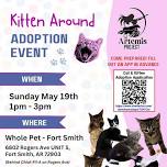 Kitten Around Adoption Event