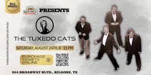 The Tuxedo Cats perform LIVE at The Back Porch!