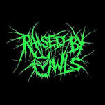 Raised by Owls