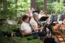 Orchestra in the Pines