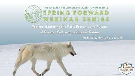 Wolves: Exploring the Past, Present, and Future of Greater Yellowstone’s Iconic Canine [Webinar]