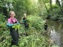 Church Meadows Balsam Bash – River Mole