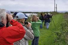 Port Susan Bay City Nature Challenge Nature Walk — The Nature Conservancy in Washington