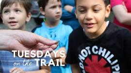 Tuesdays on the Trail: Herpetology