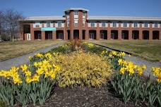 Evening Garden Club Plant Sale at the Library (Plymouth)