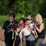 Goat Yoga & Goat Fun!