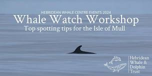 Whale Watch Workshop