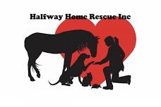 Halfway Home Rescue at Twelve Percent Beer Project, North Haven