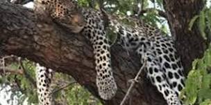 Samburu Private Safari – 3 Days