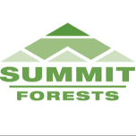 Summit Forests Kaitaia Trail Run