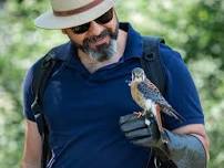 Falconry at Sudeley Castle & Gardens