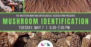 Missoula Public Library: Mushroom Identification