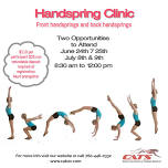 Handspring Clinic