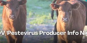 BVDV/Pestevirus Producer Info Night