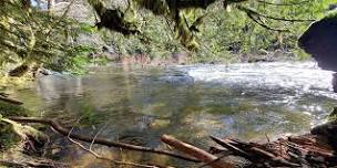 Hike with a Ranger: The Lifecycle of Pacific Northwest Salmon