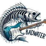 Friday Night LIVE- Bad Water