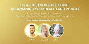 Clear the Energetic Blocks Undermining Your Health and Vitality