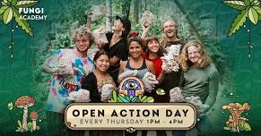 Open Action Day