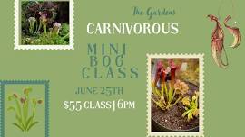 Carnivorous Mini Bog Class