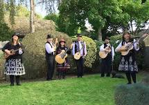 Chubritza plays for Folk Dancing