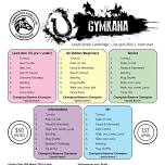 Leamington Pony Club Gymkana