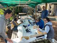 Microscopic Journey to the Centre of your Compost