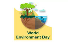 World Environment Dat