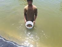 Fish Farming  Practical Training