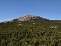 Mt. Monadnock via Pumpelly Trail with J Paul - benefit McAuliffe-Shepard D.C.