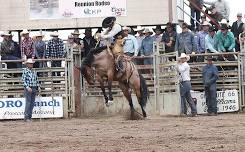 Arizona Cowpuncher’s Annual Reunion Rodeo