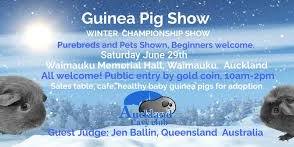 Guinea Pig Show