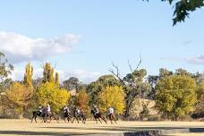 Millamolong Polo Tournament 2024