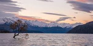 Enjoy a “mini-tour” of Wanaka’s local vineyards and wine tastings on this half-day tour.