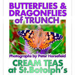 Butterflies and Dragonflies of Trunch