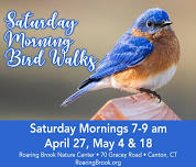 Saturday Morning Bird Walks