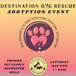 DESTINATION DOG RESCUE ADOPTION EVENT | PREMIER PET SUPPLY ROCHESTER HILLS