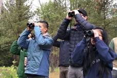 Neighborhood Bird Outing: Seward Park (for young adults <40)