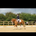 Evening Dressage with Newquay Riding Club