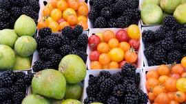 El Dorado County Certified Farmer’s Market