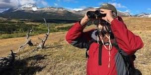 Birding at Buffalo Lakes