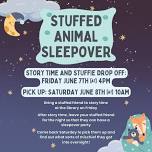 Stuffed Animal Sleepover in the Library!