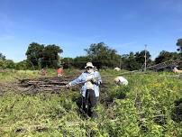 Poag Sand Prairie Restoration Volunteer Day