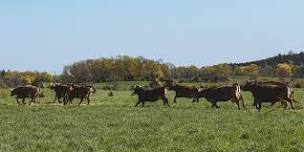 Cows to Pasture Celebration