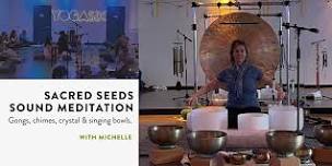 Sacred Seeds Sound Meditation (gongs, chimes, crystal & singing bowls)