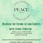 Discover the Forest: A Day with Athol Forestry