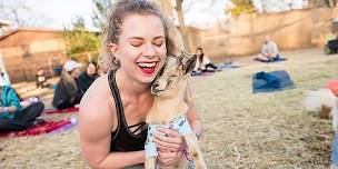 Halloween Costume Goat Yoga!